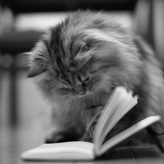 Telegram profile photo for Книжный чат — Инструкции