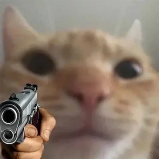Telegram profile photo for Мемы рял