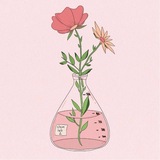 Telegram profile photo for كيمياء السادس العلمي