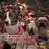 Telegram profile photo for Аватарки от руби