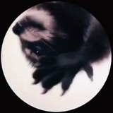 Telegram profile photo for Pedro TON