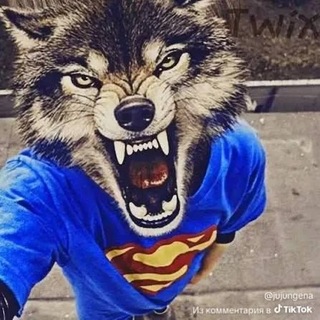 Telegram profile photo for отзовы