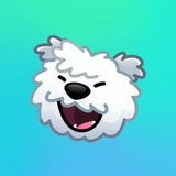 Telegram profile photo for Botify Services