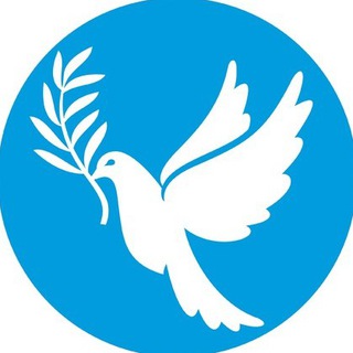 Telegram profile photo for Friedensmahnwache Potsdam