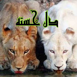 Telegram profile photo for دلـِِ۪۪۪ٜۖـٰٰٰٰ۪۪ٜٖٖٖٖٖٖٖؓؔᬼـ❤️➹ِِ۪۪۪ٜۖـ۪۪ٜؓؔخستـــــه💔💔