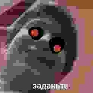 Telegram profile photo for Щп фанатика