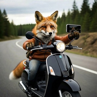 Telegram profile photo for Photo Fox