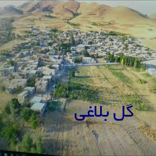 Telegram profile photo for 💐کانال شاهبلاغی💐