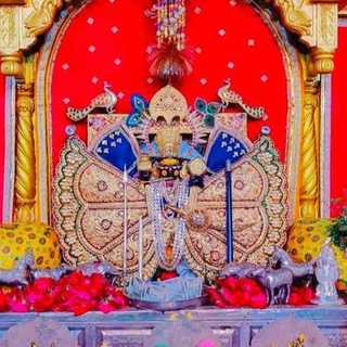 Telegram profile photo for Shree Sawliya Emitra