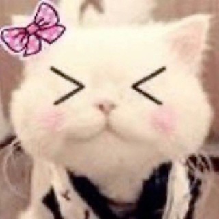 Telegram profile photo for bulka.exe