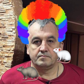 Telegram profile photo for ❗️ Коллаборанты Покровска/Мирнограда