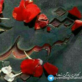 Telegram profile photo for داستان زندگی شهدا