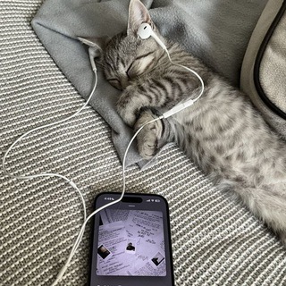 Telegram profile photo for подслушано у пиар чатов