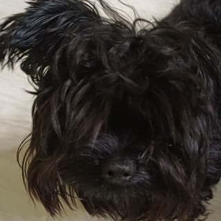 Telegram profile photo for УТИ ПУТИ