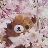 Telegram profile photo for кастрюлич