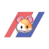Telegram profile photo for BitmexLiquidations