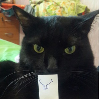 Telegram profile photo for Чёрный юмор и не только 🏴