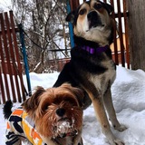 Telegram profile photo for Влоги.KiKo.ReKS☃️
