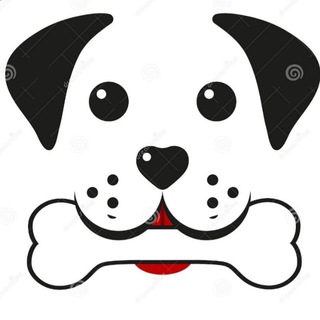 Telegram group profile photo for Собака.NN