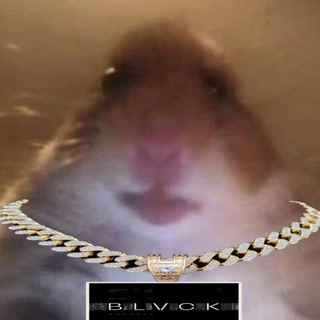 Telegram profile photo for NoName