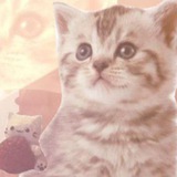 Telegram profile photo for Cat's random✨☕️