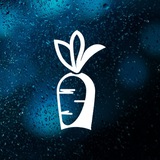 Telegram profile photo for Чёрный кролик