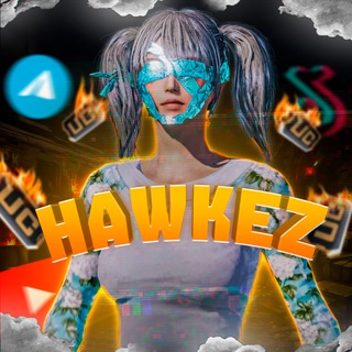 Telegram profile photo for Hawkez PUBG mobile