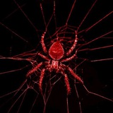 Telegram profile photo for архив spider.