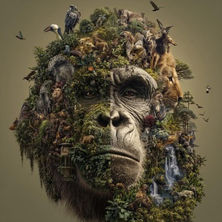 Telegram profile photo for Animal planet