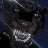 Telegram profile photo for adapter