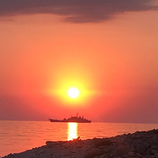 Telegram profile photo for Военслед_ОГВс_for_the_Media