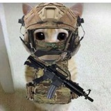 Telegram profile photo for civilwar showroom