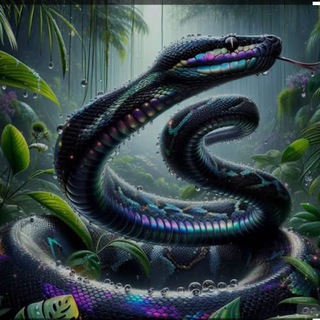 Telegram group profile photo for PYTHON