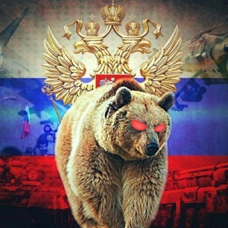 Telegram profile photo for Russia News 🇷🇺