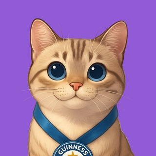 Telegram profile photo for NALAonS0l