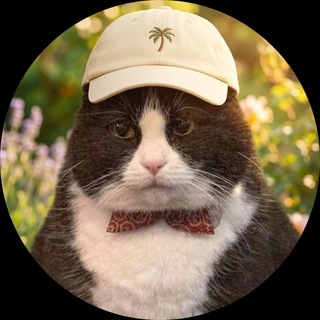 Telegram profile photo for Mitya Filosof 🪠