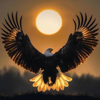 Telegram profile photo for ππ π βππ§ππ βοΈ