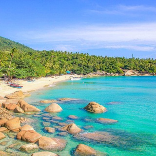Telegram profile photo for Женский чат | Панган/Самуи 🇹🇭