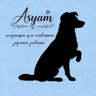 Telegram profile photo for Asyam | амуниция для животных•