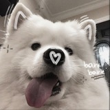 Telegram profile photo for 🤍— Pearls 𝓟ayment