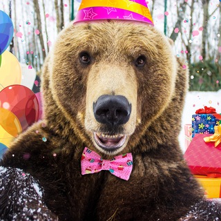 Telegram profile photo for 🐻Медведь Мансур