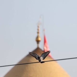 Telegram profile photo for فَلَئِنْ أخَّرَتْني الدُّهُورُ