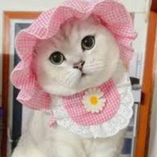 Telegram group profile photo for REALIST