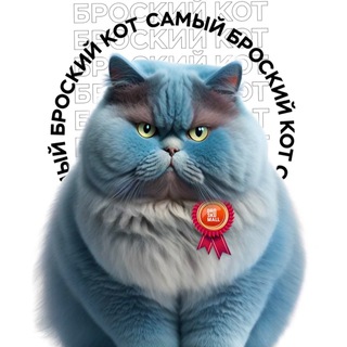 Telegram profile photo for Самый broskий кот