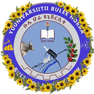 Telegram profile photo for Bule Hora University