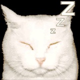 Telegram profile photo for вы точно таролог?