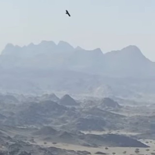 Telegram profile photo for ردود علمية على المخالفين في التكفير