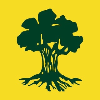 Telegram profile photo for שאול זילברשטיין