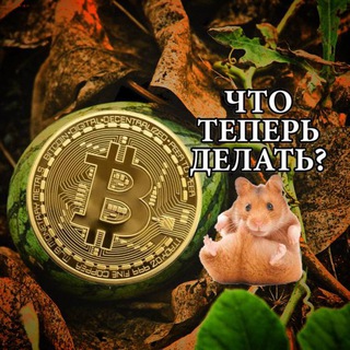 Telegram profile photo for CryptoArbuz 🍉