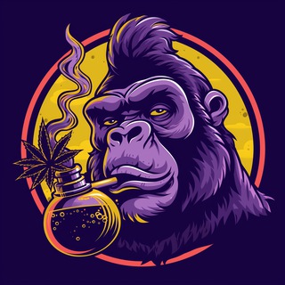 Telegram profile photo for King Bong